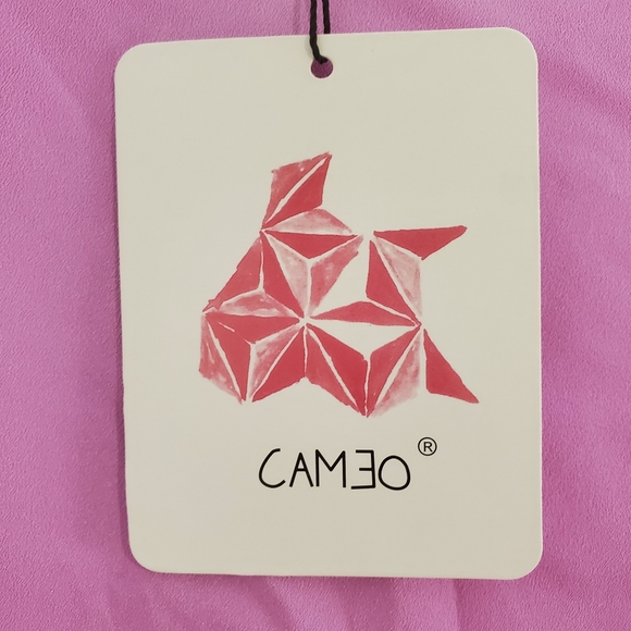 Cameo Asymmetrical Sleeveless Top - Picture 8 of 9